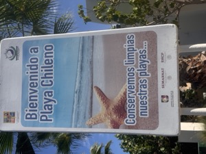 Day 4 ~ Playa El Chileno ~ San José del Cabo