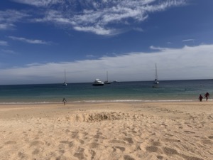 Day 4 ~ Playa El Chileno ~ San José del Cabo