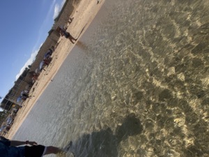 Day 4 ~ Playa El Chileno ~ San José del Cabo