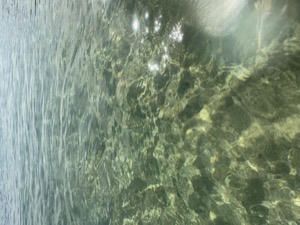 Day 4 ~ Playa El Chileno ~ San José del Cabo