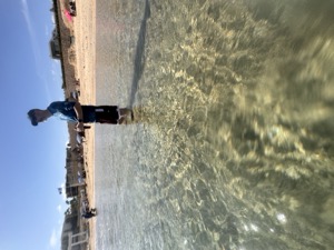 Day 4 ~ Playa El Chileno ~ San José del Cabo