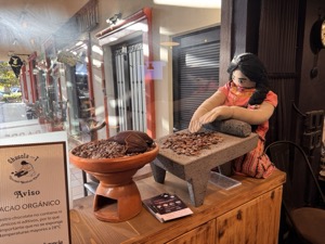 Day 4 ~ Xocolatl Mexican Cacao ~ San José del Cabo