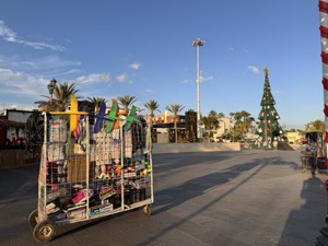 Day 4 ~ Plaza Mijares ~ San José del Cabo