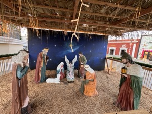 Day 4 ~ Plaza Mijares ~ San José del Cabo