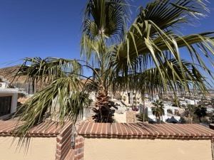 Day 5 ~ Exploring ~ Castillo Blarney Inn