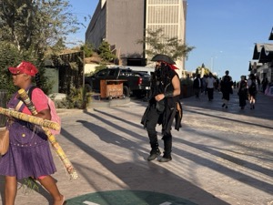 Day 5 ~ Pirate ship tour ~ BUCCANNER-QUEEN