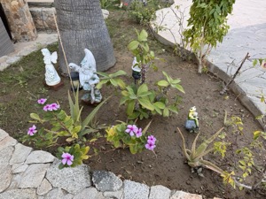 Day 7 ~ Exploring ~ Castillo Blarney Inn