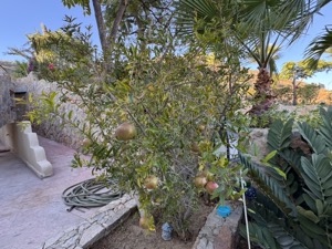 Day 7 ~ Exploring ~ Castillo Blarney Inn