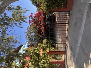 Day 7 ~ Exploring ~ Plaza Mijares