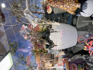 Day 7 ~ Exploring ~ Plaza Mijares