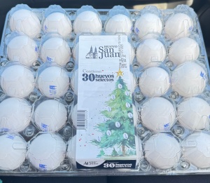 Day 1 ~ Huevos ~ Eggs ~ La Tienda ~ The Store