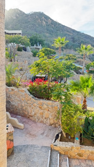 Day 1 ~ Luna Gato ~ Castillo Blarney Inn