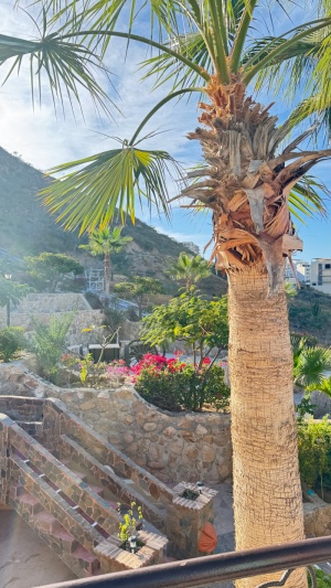 Day 1 ~ Morning View ~ Castillo Blarney Inn