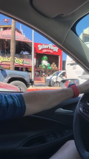 Day 2 ~ Exploring ~ Cabo San Lucas