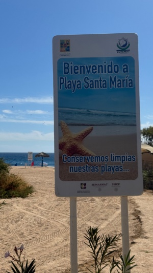 Day 2 ~ Playa Santa María ~ San Jose de los Cabos