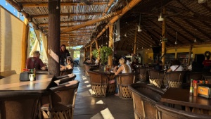 Day 2 ~ Claro Fish Jr. ~ San Jose de los Cabos