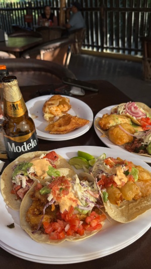 Day 2 ~ Fish Tacos & Empanada ~ Claro Fish Jr.