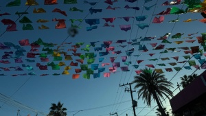 Day 2 ~ Drive back to... ~ Cabo San Lucas