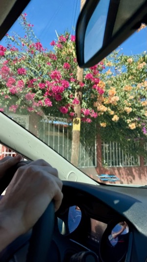 Day 3 ~ Exploring ~ Cabo San Lucas