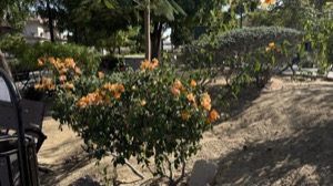 Day 3 ~ Exploring ~ Cabo San Lucas