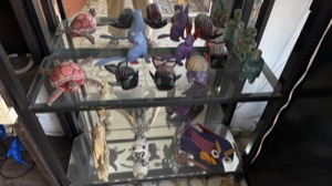 Day 3 ~ Exploring ~ Cabo San Lucas