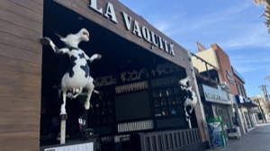 Day 3 ~ Exploring ~ Cabo San Lucas