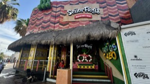 Day 3 ~ Exploring ~ Cabo San Lucas