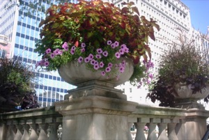 City ~ Chicago, Illinois