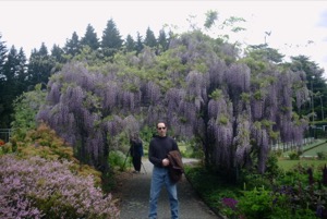 M ~ Queenstown, New Zealand