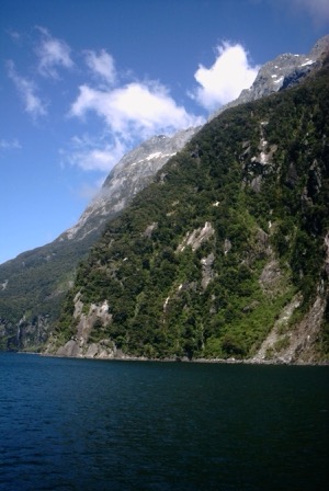Milford Sound Tour ~ Queenstown, New Zealand