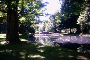 Last Day ~ Queenstown, New Zealand