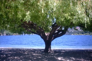 Last Day ~ Queenstown, New Zealand