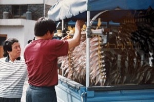 City ~ Fish on Truck ~ South Korea