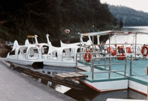 Country ~ Swan Boats ~ South Korea