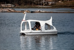 Country ~ Swan Boats ~ South Korea