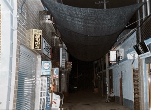 Exploring ~ South Korea