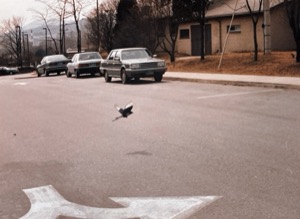 Exploring ~ South Korea