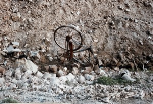 Exploring ~ South Korea