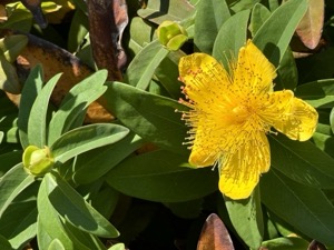 Day 5 ~ Exploring ~ West Seattle