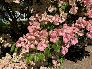 Day 5 ~ Exploring ~ West Seattle