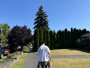 Day 5 ~ Exploring ~ West Seattle