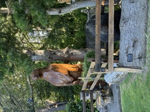 Day 5 ~ Exploring ~ West Seattle