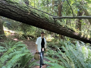 Day 5 ~ Exploring ~ West Seattle