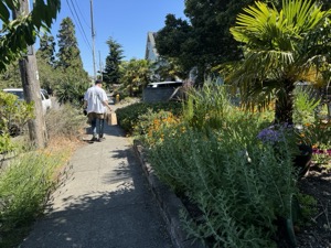 Day 5 ~ Exploring ~ West Seattle