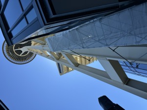 Day 5 ~ Space Needle ~ Seattle