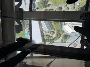 Day 5 ~ Space Needle ~ Seattle