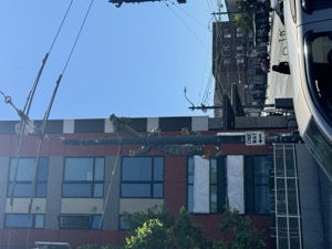 Day 6 ~ Bus Exploration ~ Seattle