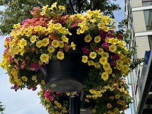 Day 6 ~ Exploring ~ West Seattle