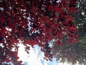 Day 1 ~ Landing Spot ~ West Seattle