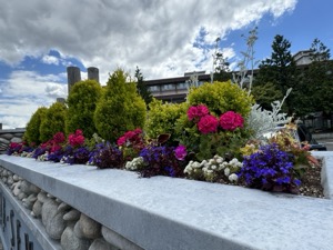 Day 1 ~ Walk along Waterfront ~ Seattle